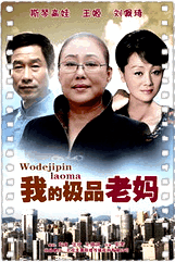 我的极品老妈