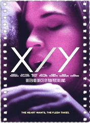 XY迷情纽约