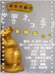 岩合光昭の猫步走世界~泰国清迈篇~.