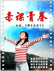 那片天空下