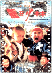 龙在少林