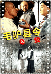 毛驴县令之你我他