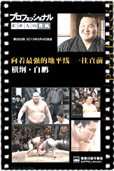 Professional-职业人的作风