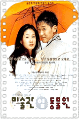 爱情倒后镜