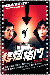 终极格斗