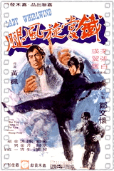 铁掌旋风腿