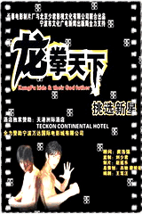 龙拳天下