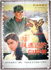 白桦林中的哨所