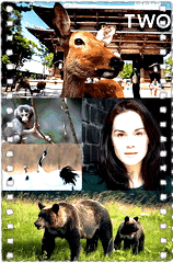 日本：地球迷人之岛