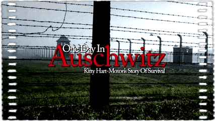 再见,奥斯维辛
