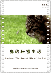 地平线系列：猫的秘密生活