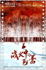战火中的芭蕾