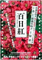百日红