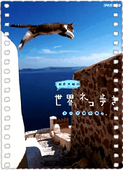 岩合光昭の猫步走世界~巴厘岛~