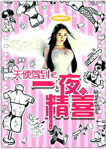 天使驾到之一夜精喜