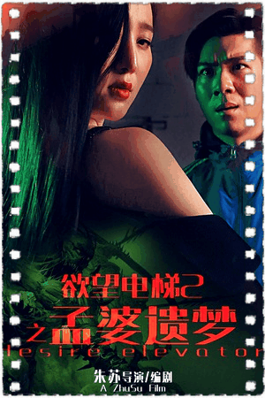 欲望电梯2孟婆遗梦