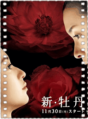新牡丹与蔷薇