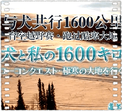 与犬共行1600公里 育空越野赛·跑过酷寒大地