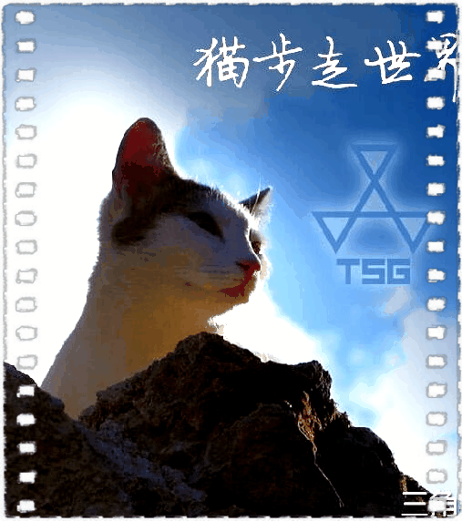 岩合光昭の猫步走世界~克罗地亚篇~