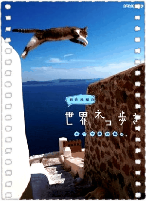 岩合光昭の猫步走世界~岩合拉脱维亚篇